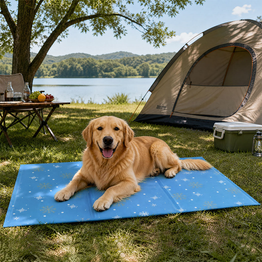 PaWz Dog Cooling Mat 90x60cm Self Gel Pad Breathable Crate Comfort for Home Blue
