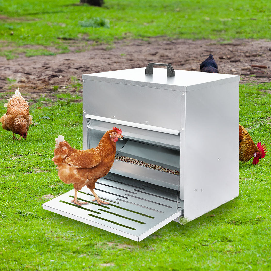 PaWz 10KG Auto Chicken Feeder Dispenser Galvanised Steel