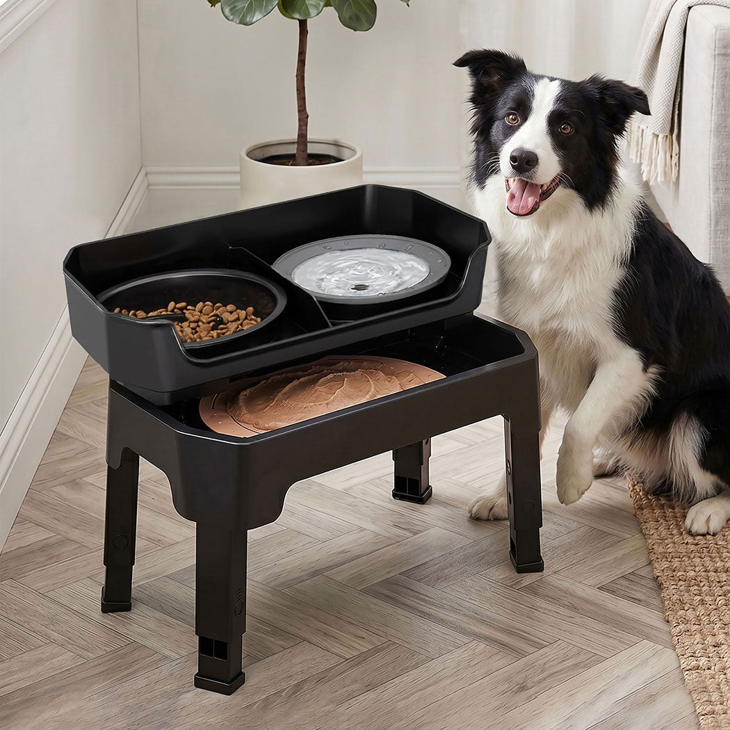Pawz Raised Dog Bowls Adjustable Elevated Feeder Slow Feeder Lick Mat Foldable