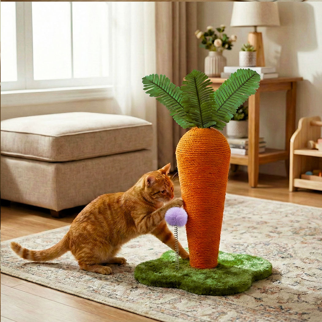 Pawz Cat Scratching Post Cute Carrot Scratching Post