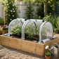 Lambu Mini Greenhouse Dual Zone PE Cover Tunnel Frame for Garden Transparent