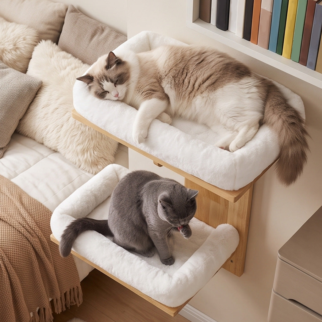 Pawz Cat Wall Shelves 2 Steps Wide Perch Soft Beds for Large Cats Climbing White