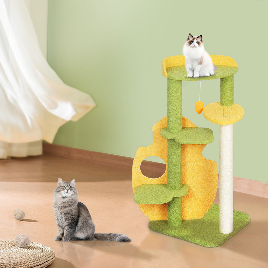 PaWz Cat Tree Kitten Furniture Condo