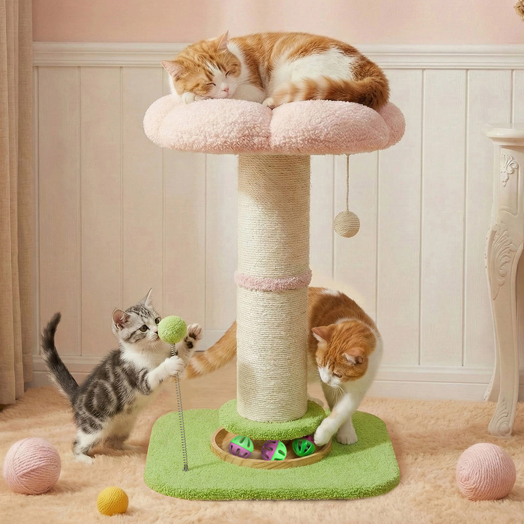 Pawz Cat Scratching Post Flower 61.5cm Cat Tree Tower