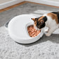 Pawz 4 Meals Automatic Timer Pet Smart Chilled Feeder