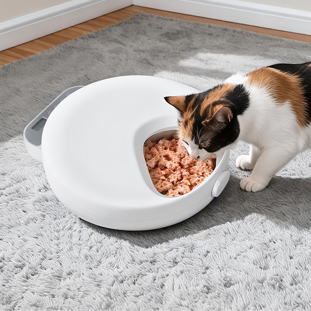 Pawz 4 Meals Automatic Timer Pet Smart Chilled Feeder