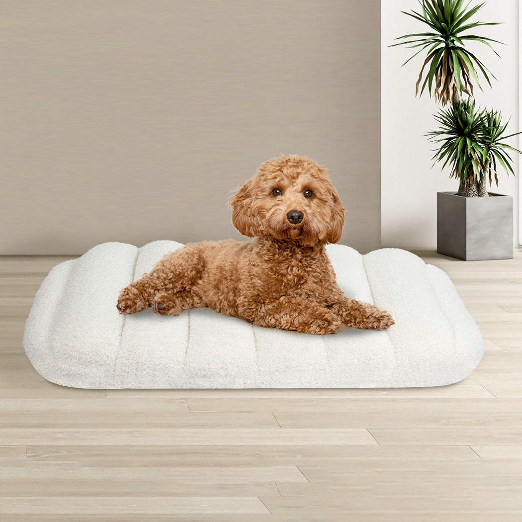 Pawz M Size Orthopedic Dog Bed with Sherpa Plush Removable Cover in White