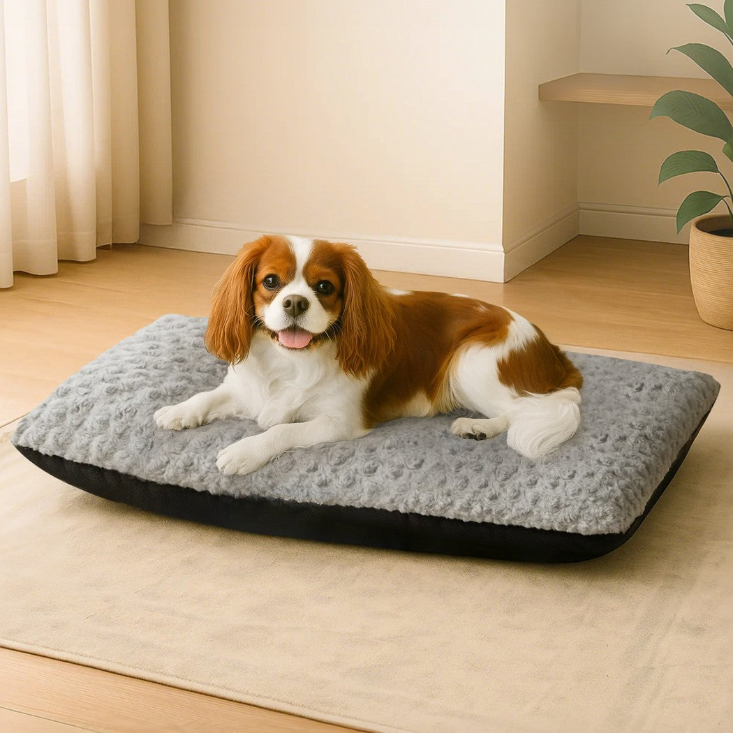Pawz Pet Bed Dog Soft Warm Plush Mattress