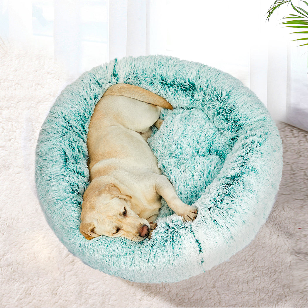 PaWz Replaceable Cover For Dog Calming M Teal Cover Medium