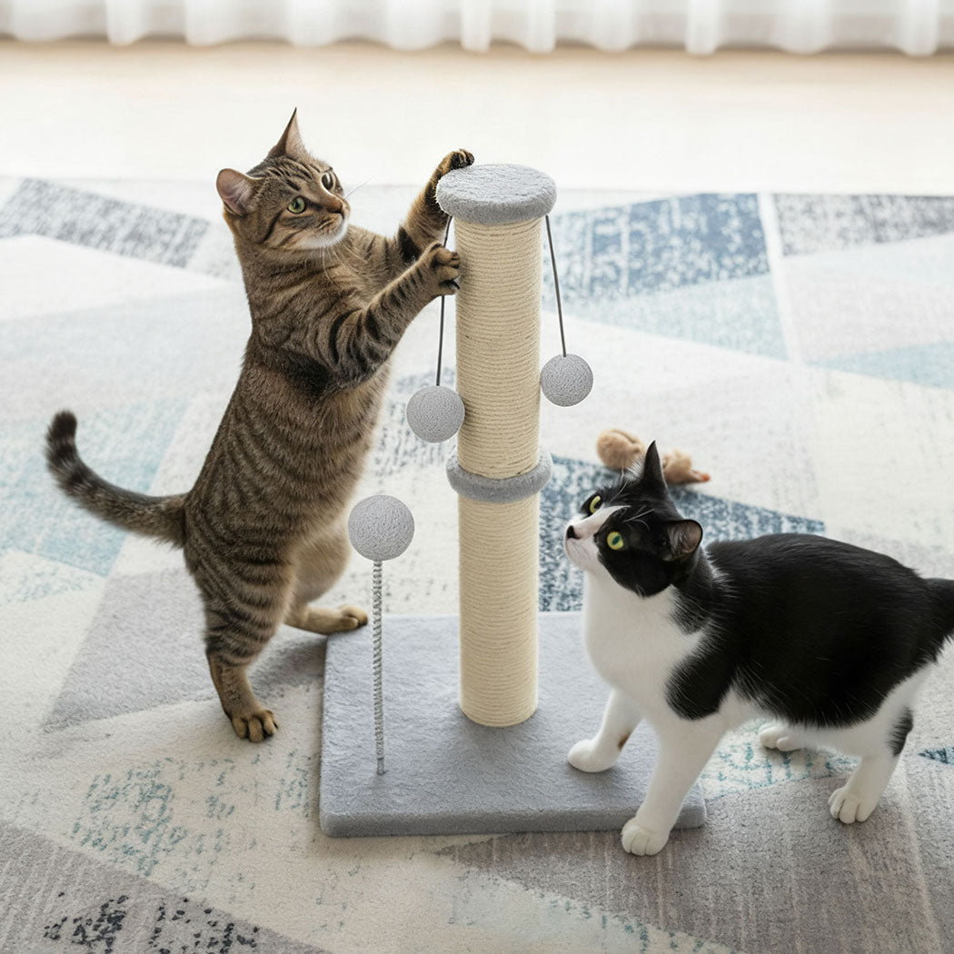 Pawz Cat Scratcher Tower Scratching Post