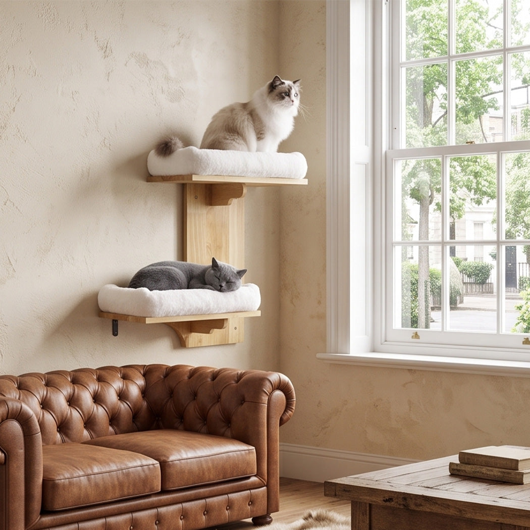 Pawz Cat Wall Shelves 2 Steps Wide Perch Soft Beds for Large Cats Climbing White