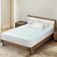 Dreamz Mattress Topper Pillowtop Cover Protector Single
