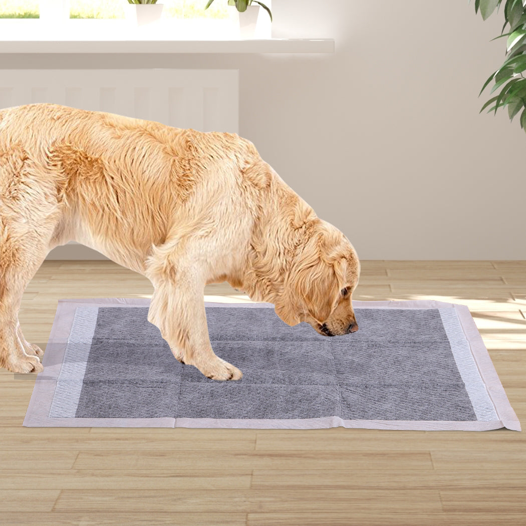 PaWz 400 Pcs 60x60cm Charcoal Pet Puppy