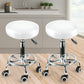 2x Levede Swivel Salon Barstool Hairdressing White