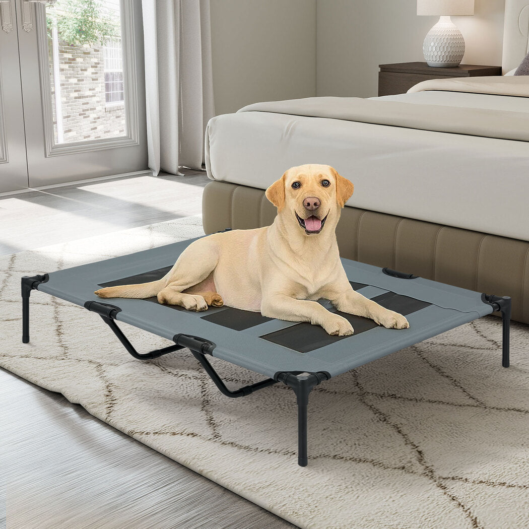 Pawz Elevated Pet Bed Raised Dog Bed Large Cooling Bed