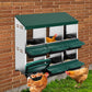 Pawz Chicken Hen Coop Hutch