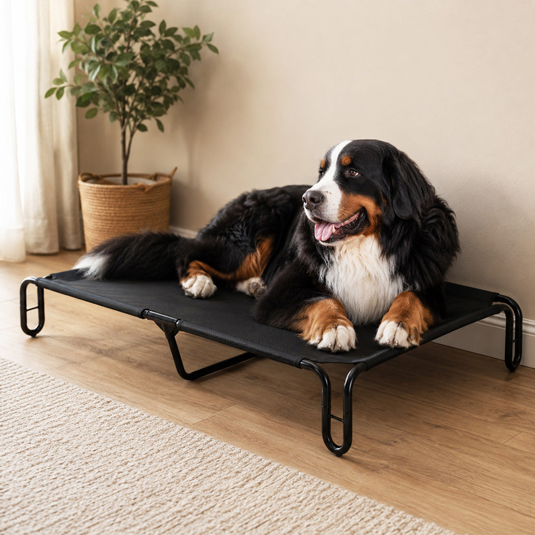 Pawz Elevated Dog Bed L Breathable Mesh Cooling for Indoor Outdoor Black