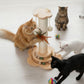 Pawz Cat Scratcher Wooden Scratching Post