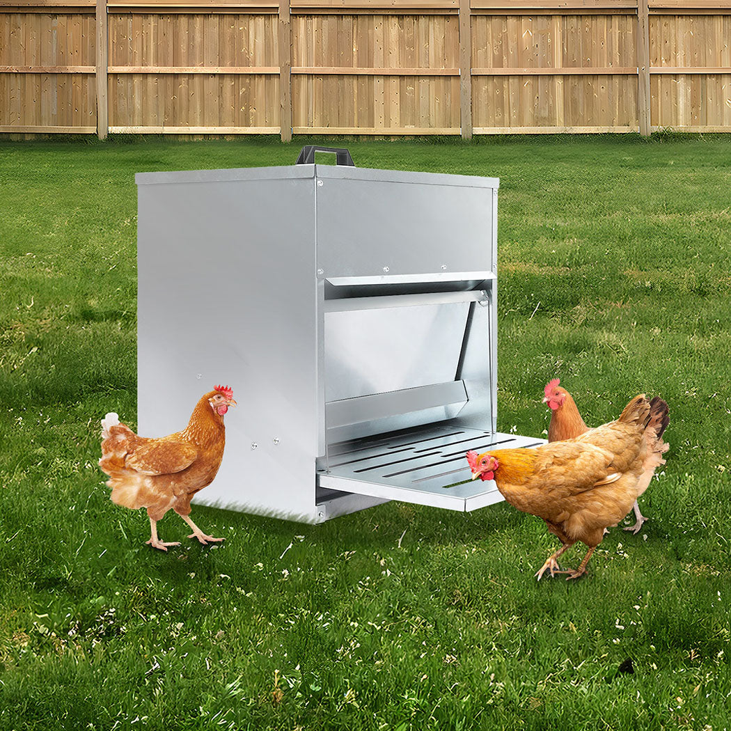 PaWz 10KG Auto Chicken Feeder Dispenser Galvanised Steel