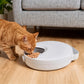 Pawz 4 Meals Automatic Timer Pet Smart Chilled Feeder