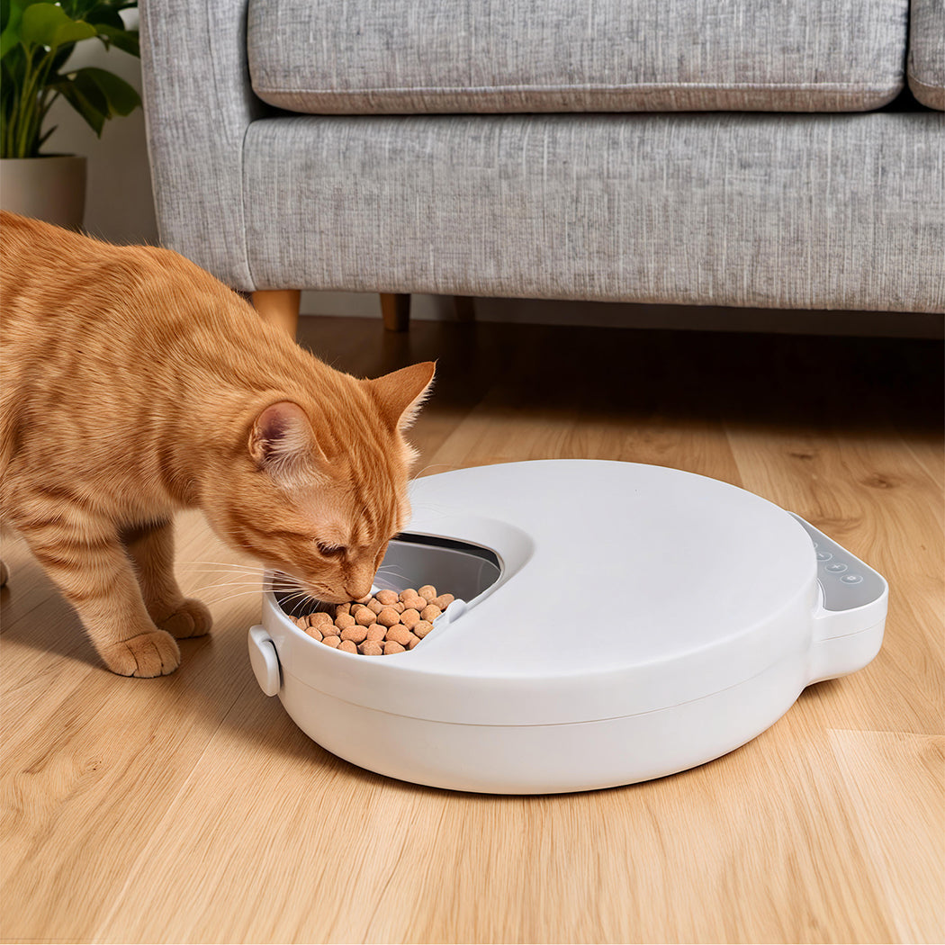 Pawz 4 Meals Automatic Timer Pet Smart Chilled Feeder