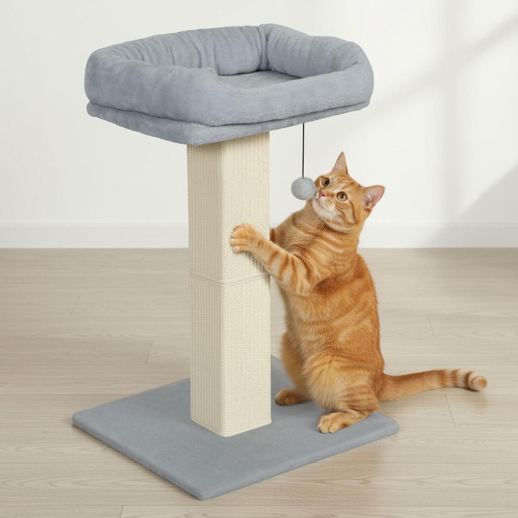 Pawz Cat Scratcher Big Perch Bed
