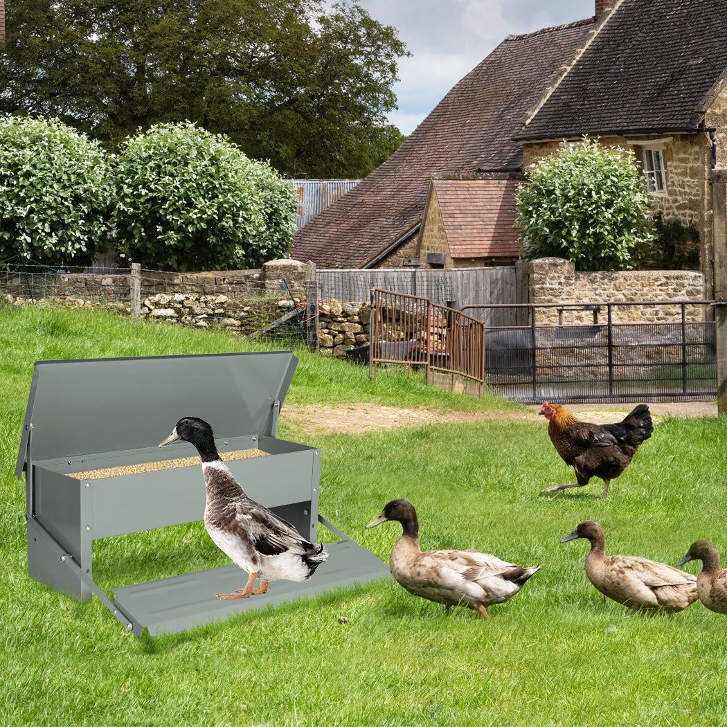 PaWz 5KG Auto Automatic Chicken Feeder