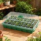 Toque Seedling Tray 5 Pack Greenhouse Kit With Vented Dome For Grouth Green