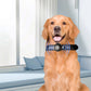 PaWz Bluetooth Pet Tracker Collar Dog Black