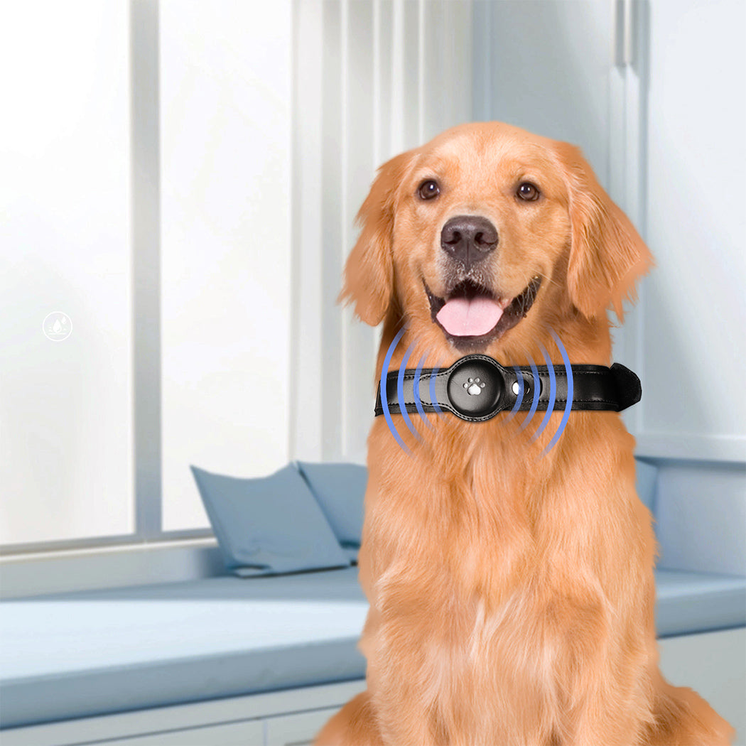 PaWz Bluetooth Pet Tracker Collar Dog Black