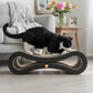 Pawz Cat Scratcher Board Bed Scratching Cardboard