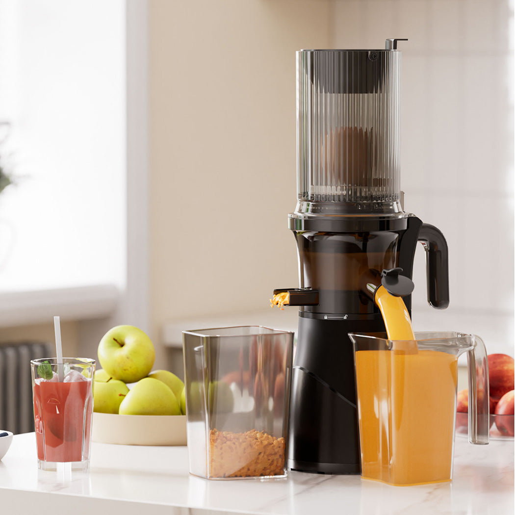 Spector Juicer Cold Press Vegetable Fruit Juice