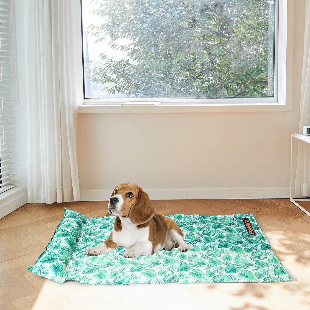 PaWz Pet Cooling Mat Cat Dog Gel Non-Toxic Medium