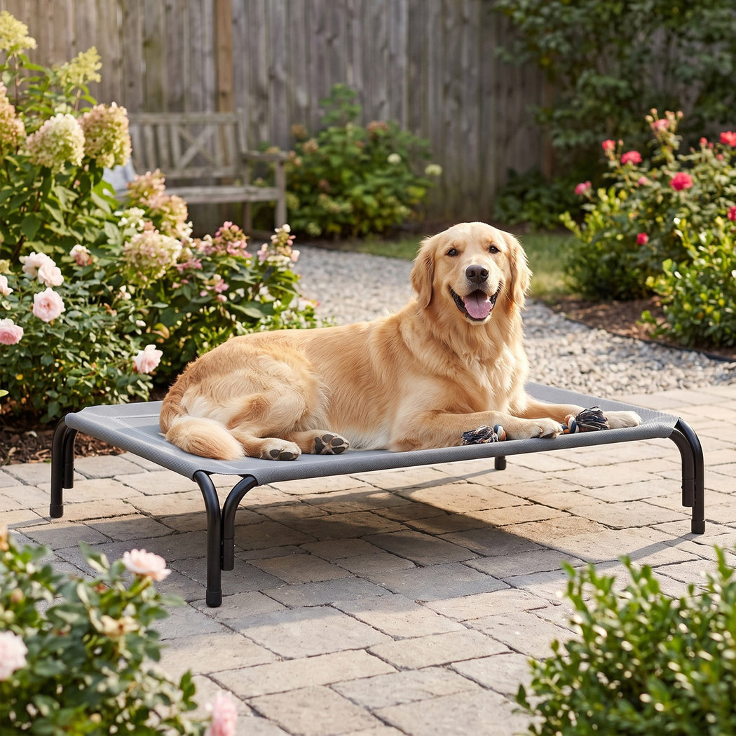 PaWz Raised Dog Bed Elevated Cooling Breathable Mesh for Indoor Outdoor Grey