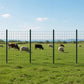 Metal Fence Posts 5Ft 10Pc Set U Shape Powder Coated for Garden Boundary Green