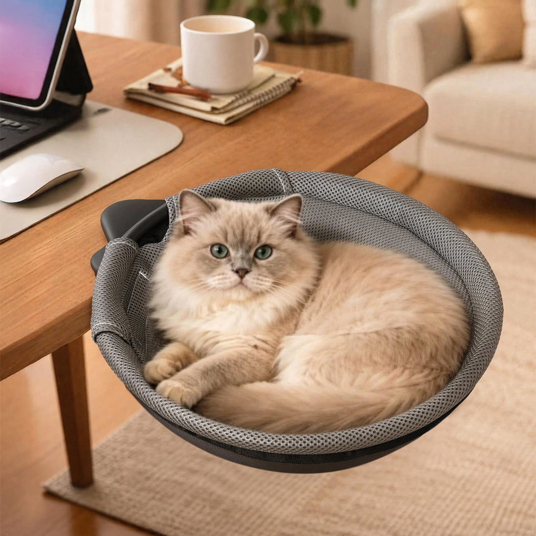 Pawz Cat Bed Hammock 360° Rotating Hanging Sturdy Washable Removable Breathable