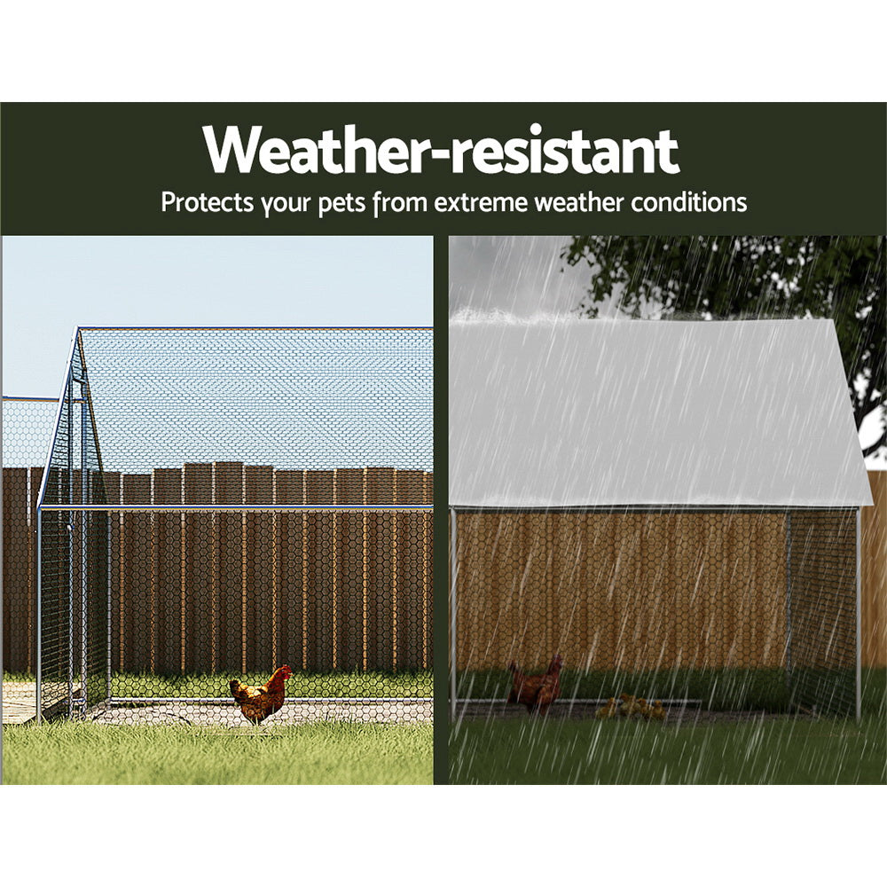 Chicken coop mesh run and roof cover feature graphic