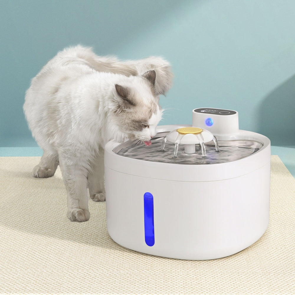 Pet Water Fountain Feeder Dispenser Filter Automatic Drinking Dog Cat - 2.6L