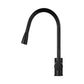 Pull-Out Mixer Faucet Tap, Black