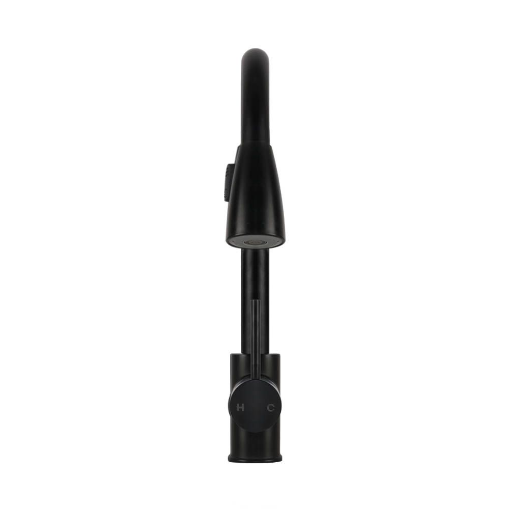 Pull-Out Mixer Faucet Tap, Black