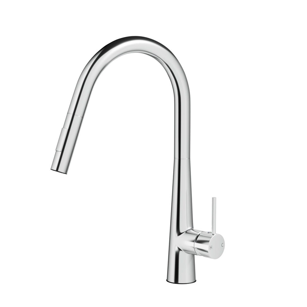 Kitchen Mixer Tap Pull Out with Round 2 Mode Sink Basin