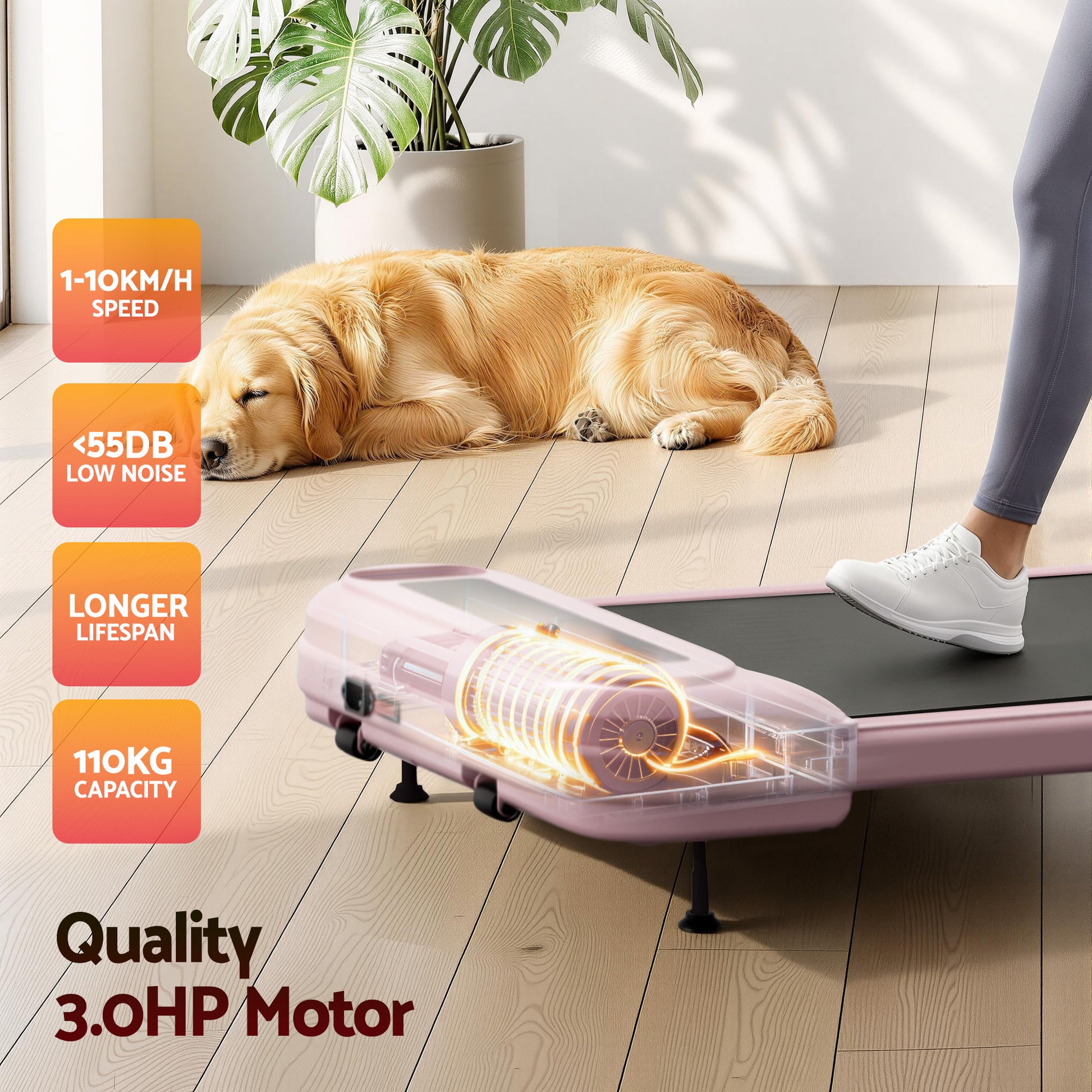 Everfit treadmill electric with compact layout and accessory details