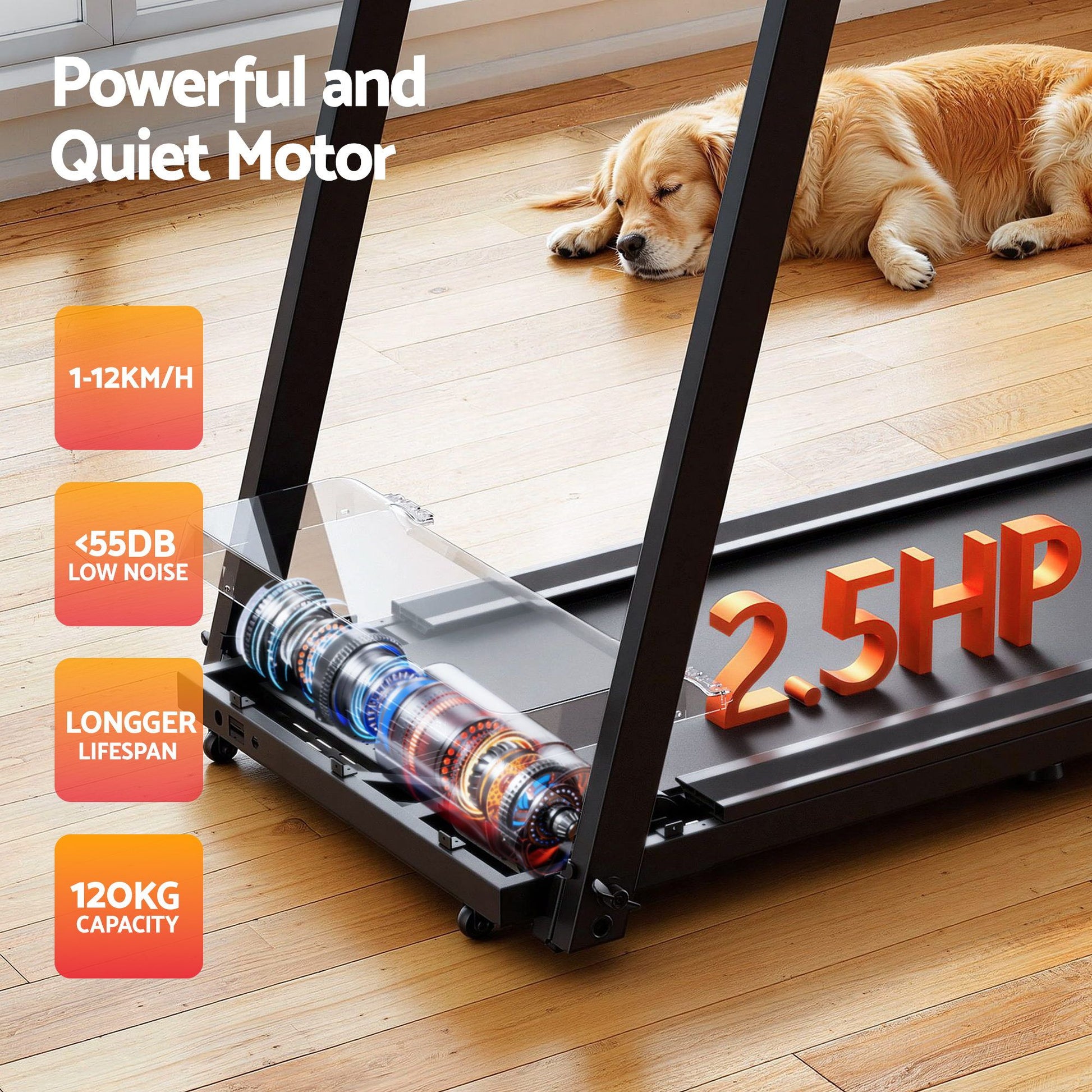 Gym Exercise Fitness Black Chi Treadmill Fully Foldable