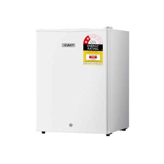 Upright Freezer Portable Refrigerator Home Office Mini Fridge Cooler - 60L