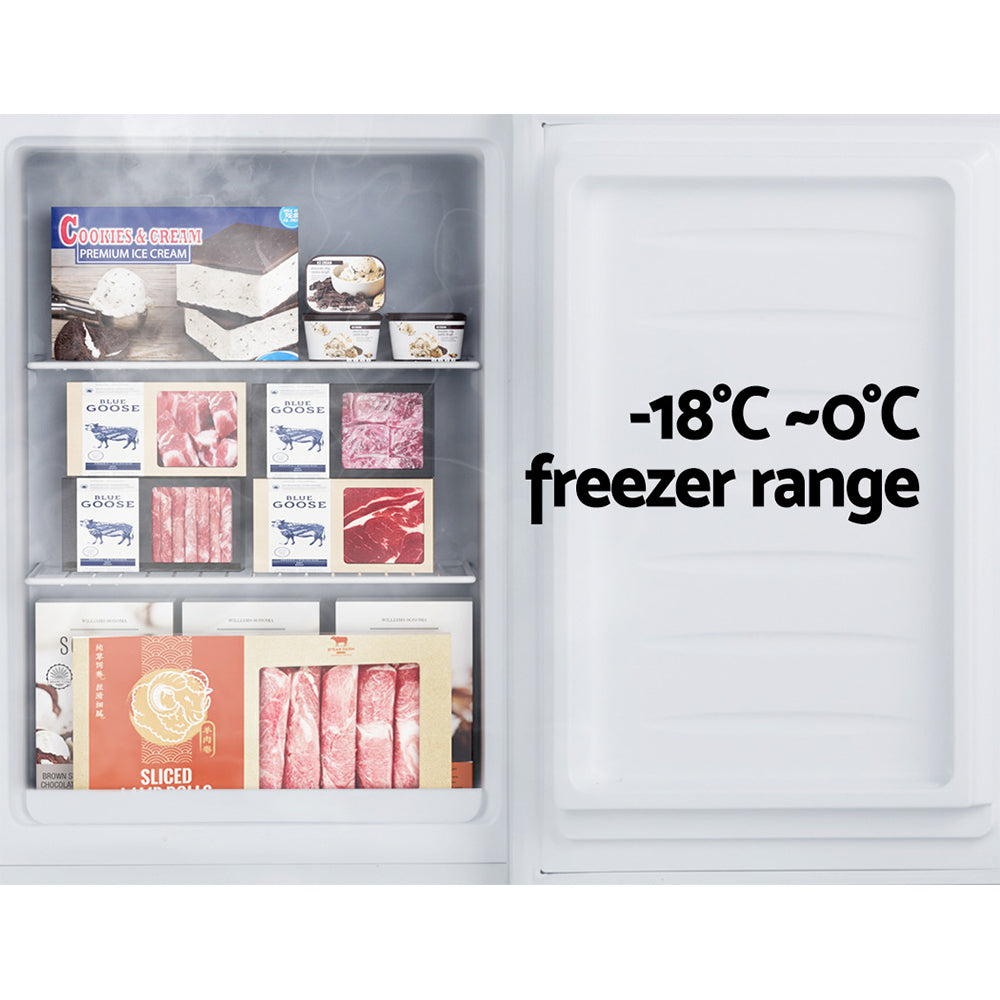 Upright Freezer Portable Refrigerator Home Office Mini Fridge Cooler - 60L