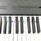 88 Keys Color Piano Note Strip 1pcs Keyboard Sticker