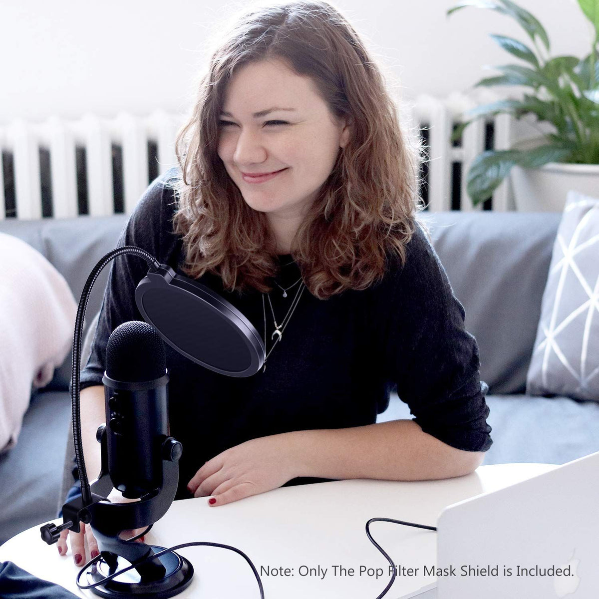 Any other microphone, double-layer windproof screen, with flexible 360 degree gooseneck clip stabilizing arm