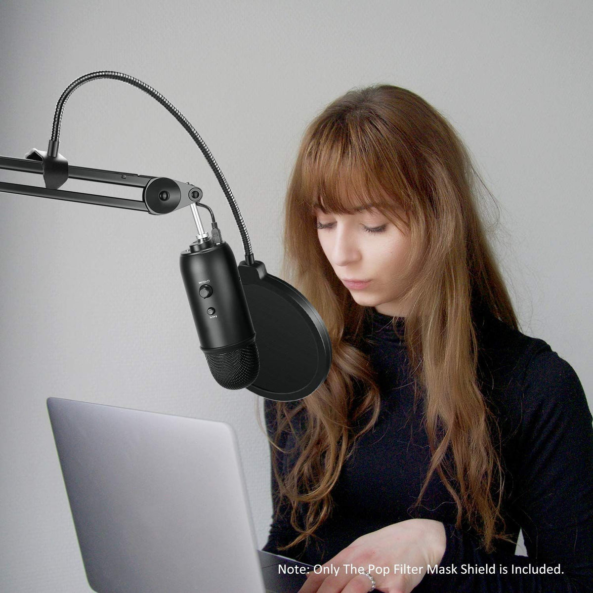 Any other microphone, double-layer windproof screen, with flexible 360 degree gooseneck clip stabilizing arm