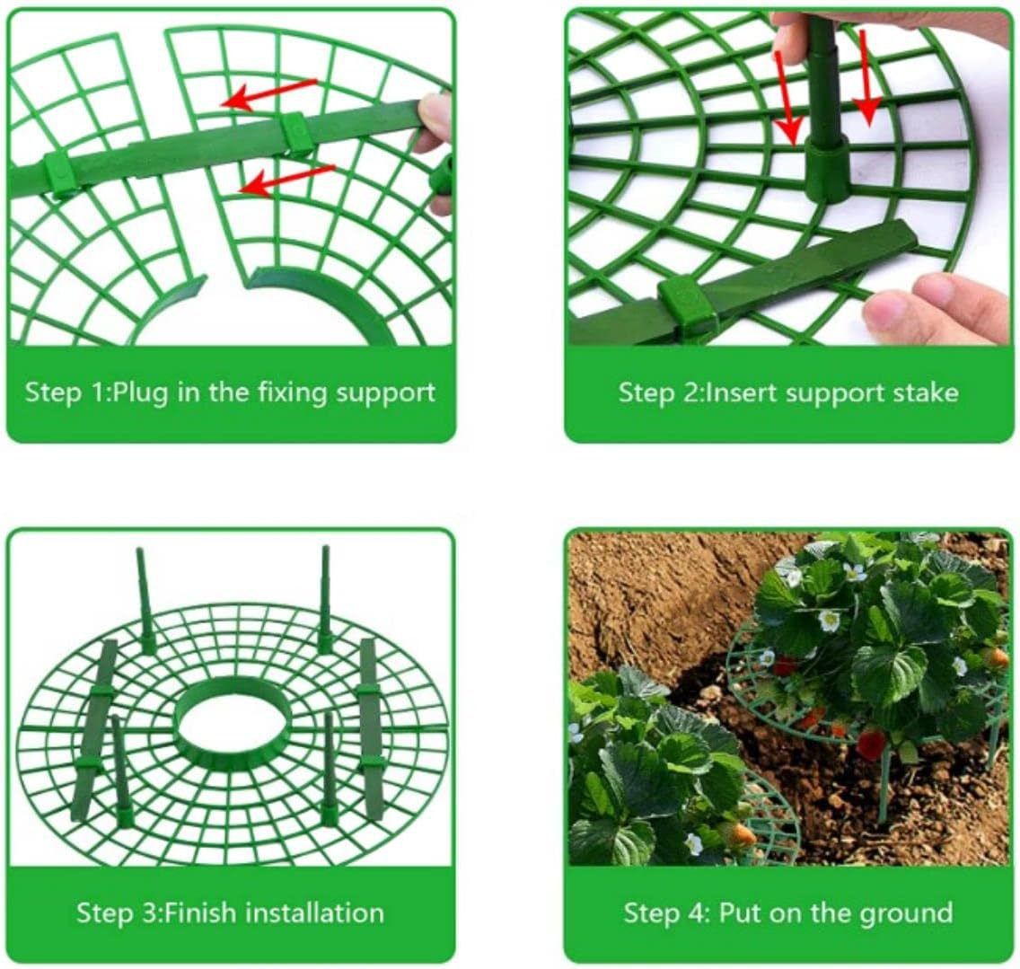 6 Pack Strawberry Growing Stand Strawberry Fruit Protection Support Stand Strawberry Plant Growing Stand