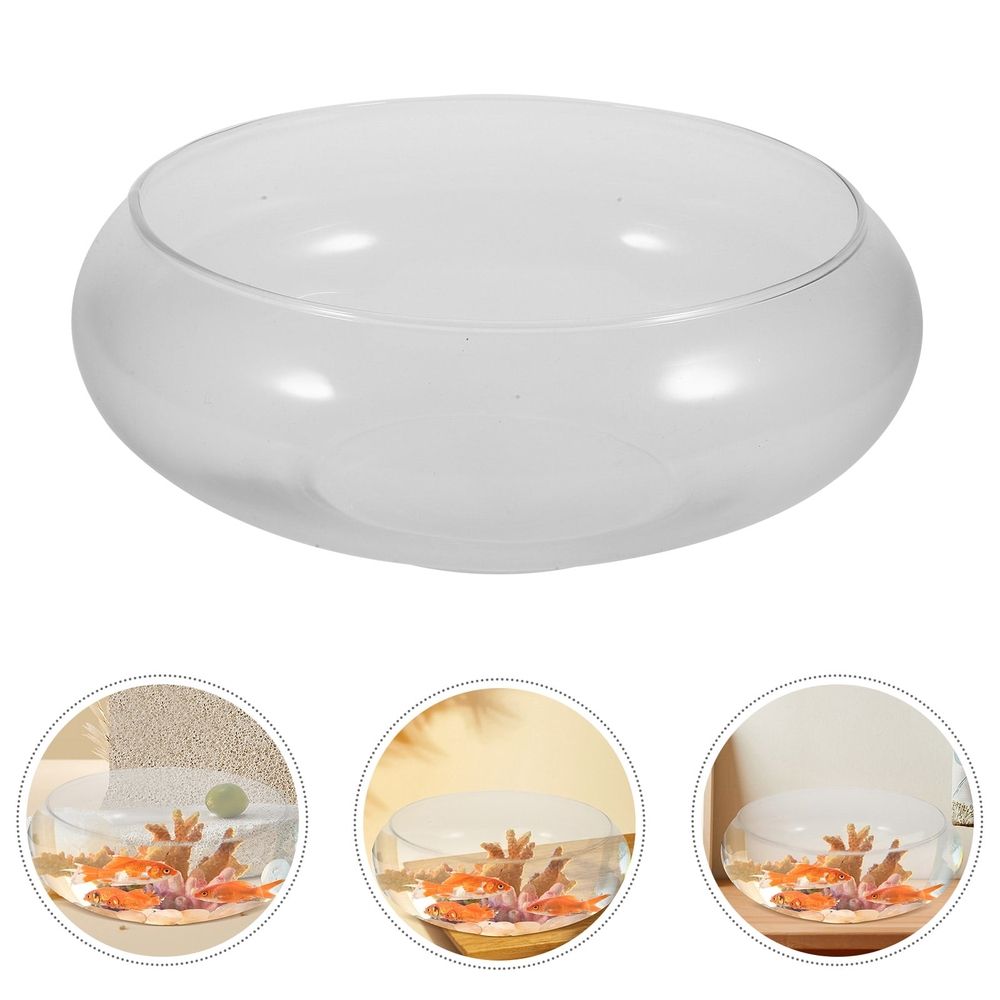 Glass Fish Bowl Transparent Hydroponic Container for Home and Office
